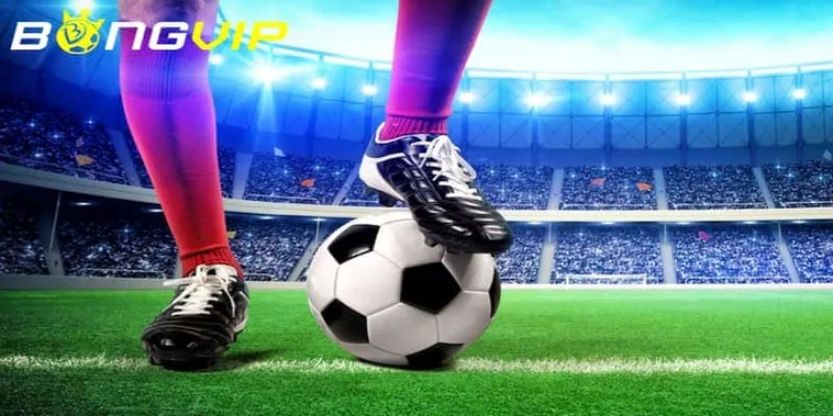 Đánh Giá Nhà Cái Bongvip Sân Chơi Cá Cược Thể Thao Đỉnh Cao Nhất Châu Á